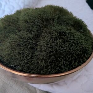 Tabletop Arrangement Decorative Moss Bowl
